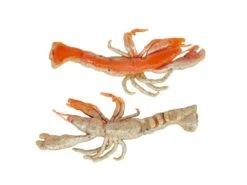 Berkley Gulp! Ghost Shrimp -Simms || 13 Fishing || Huk Shop berkley natuarlwithsparkle gulpghostshrimp 10 30 brk 10003c