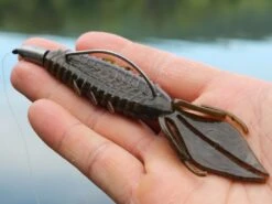 X Zone Lures Pro Series Adrenaline Bug -Simms || 13 Fishing || Huk Shop lifestyle adrenaline andrewnordbye 01