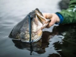 Googan Baits Blazin' Worm -Simms || 13 Fishing || Huk Shop lifestyle blazinworm googanbaits bt6a0442