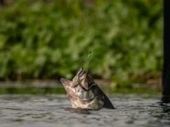 Googan Baits Green Series Weight Stops -Simms || 13 Fishing || Huk Shop lifestyle googanbaitsterminal stoppers fish 01