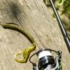 Karl's Amazing Baits Hustler Worm