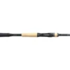Shimano Expride Casting Rod