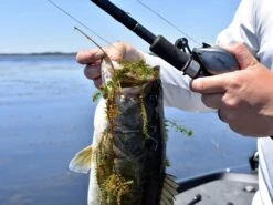 Fitzgerald Fishing VLD 10 Baitcasting Reel -Simms || 13 Fishing || Huk Shop vldlifestyle