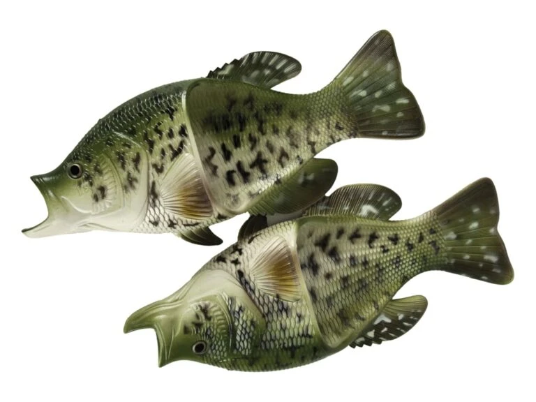 Simms || 13 Fishing || Huk Shop -Simms || 13 Fishing || Huk Shop crappie fish sandal 2 768x576 1